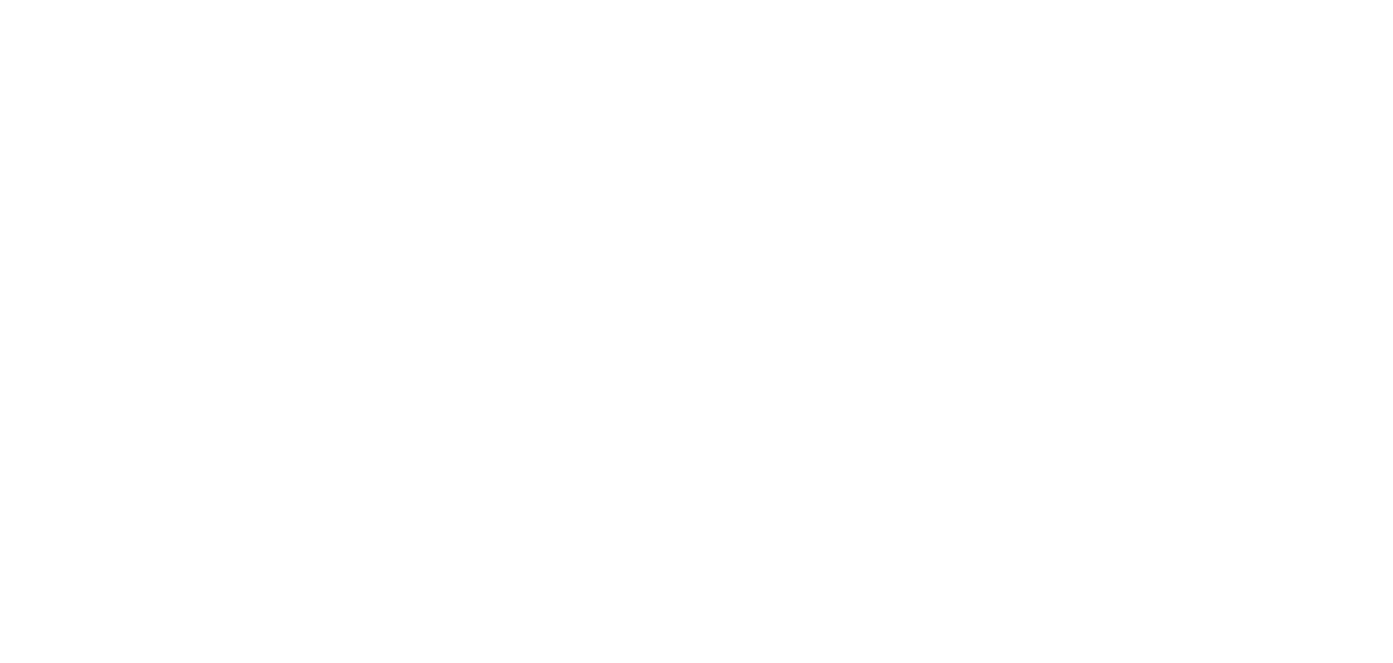 Nepal Visuals Logo